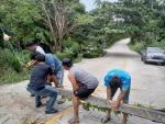 เกิดเหตุต้นมะพร้าวล้มขวางเส้นทางการสัญจร